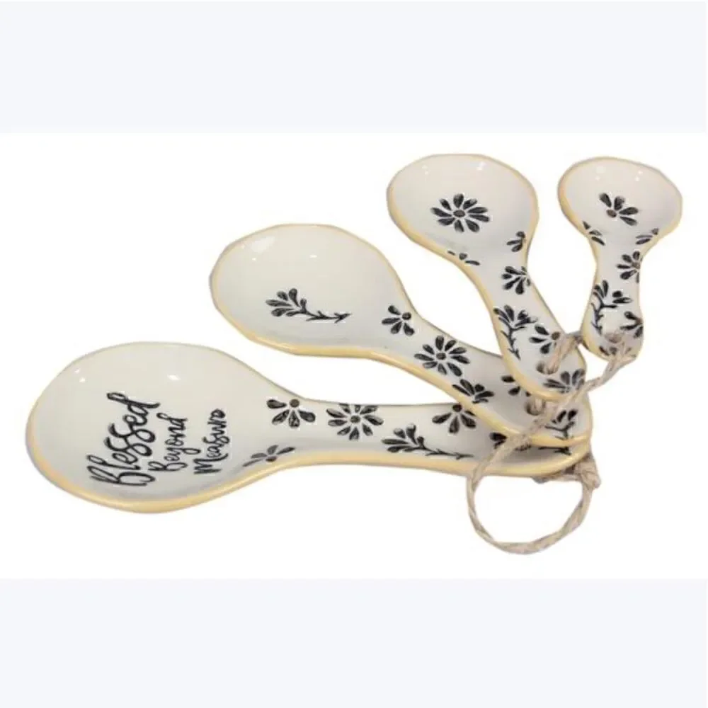 Whimsical Farmhouse Ceramic Measuring Spoon Set Blessed Cottagecore New